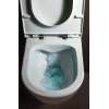 Чаша подвесного унитаза Laufen PRO + сидение дюропласт Soft Close, H8619570000001
