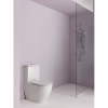 Унітаз-компакт  Laufen PRO з кришкою soft-close H8679530008701