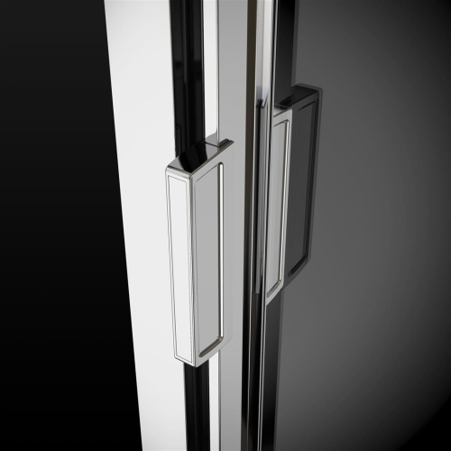 Душові двері RADAWAY Evo DW 120, 335120-01-01
