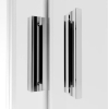 Душові двері RADAWAY Alienta DWJ 110, 10260110-01-01