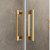 Душові двері RADAWAY Idea Gold DWJ 120, 387016-09-01R