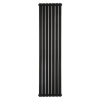 Вертикальний радіатор Betatherm  Blende 2 H-1600 мм, L-394 мм B2V 2160/07 9005M 99