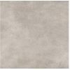 Плитка керамогранітна Cersanit Colin Light Grey RECT 59.8x59.8x8 TGGR1013834937