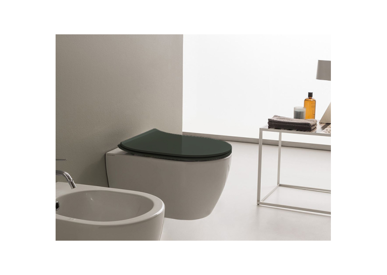 Кришка для унітаза SCARABEO Moon soft-close Ardesia 5530B49